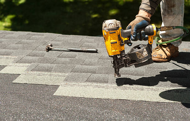 Best Roof Gutter Cleaning  in Honea Path, SC